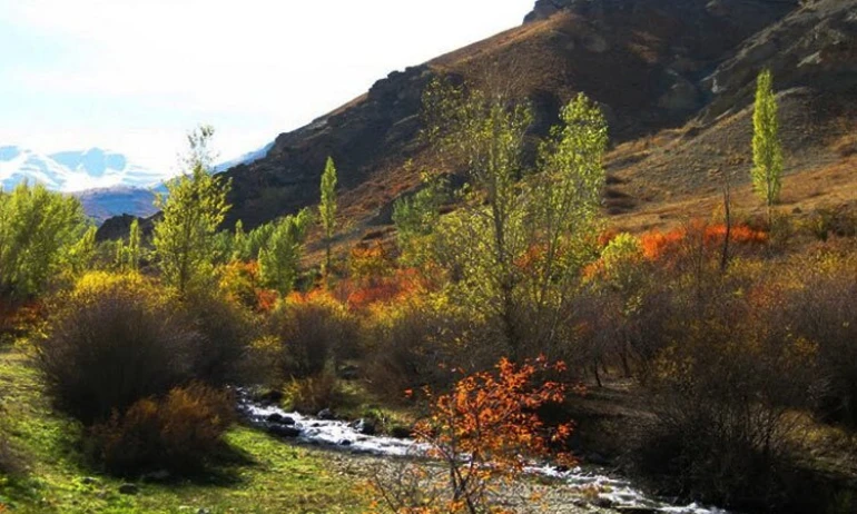 کوچه باغ های ارنگه