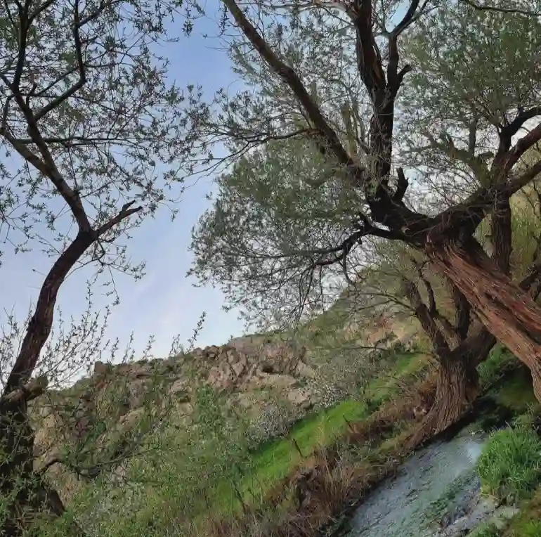 دره شهدا ارومیه یا خان دره سی ارومیه