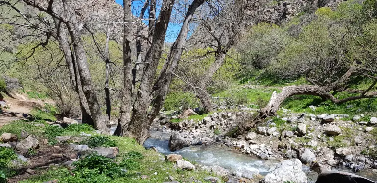 طبیعت و تفریحات در دره قاسملو