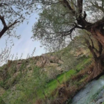 دره قاسملو ارومیه (دره شهدا)؛ رهایی از همهمه شهر