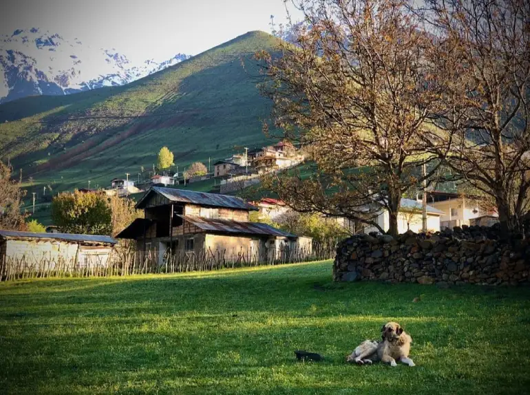 جاهای دیدنی روستای دلیر