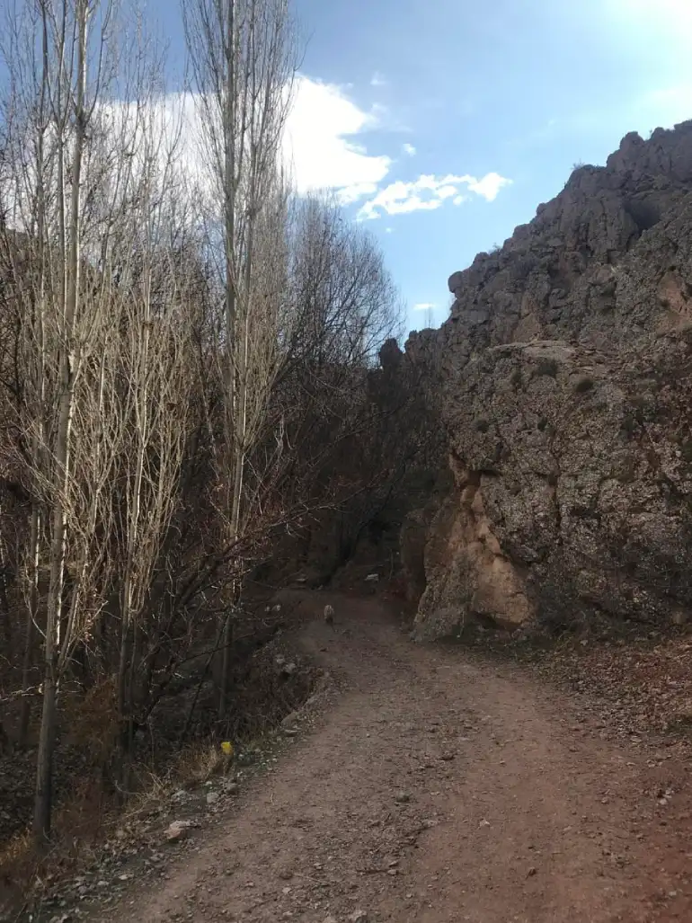 روستای هرانده