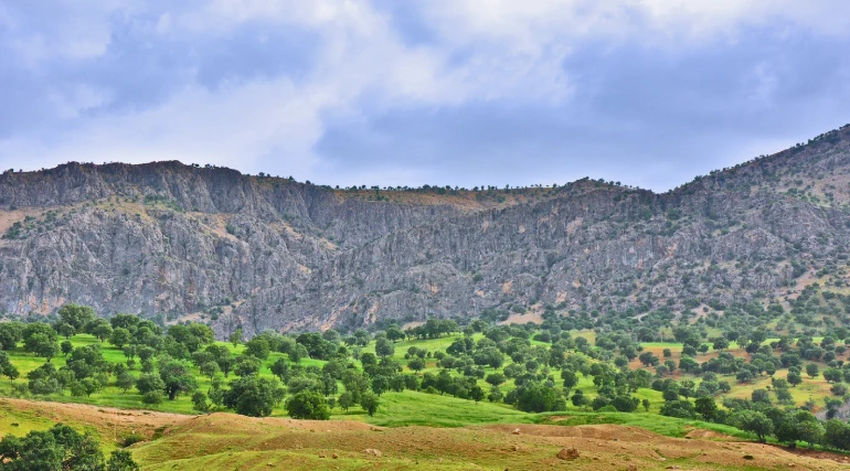 دره عشق