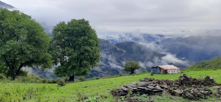 روستای توریستی فشکور