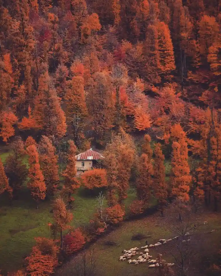 راهنمای سفر به رودبار