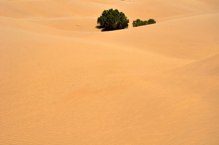 کویر مصر