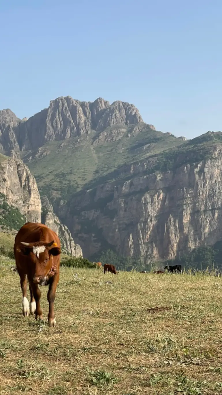 پوشش گیاهی و جانوری آبشار هریجان