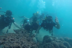 diving in qeshm