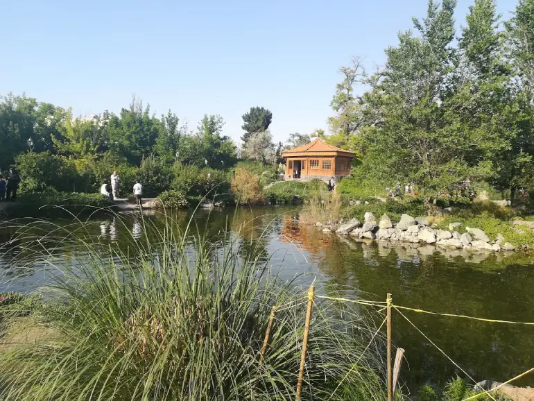 باغ مشهد