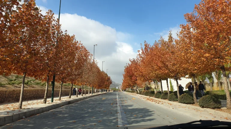 سنندج