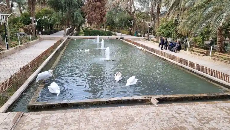 باغ گلشن طبس؛ معجزه سبز کویرهای طبس 46 باغ گلشن طبس