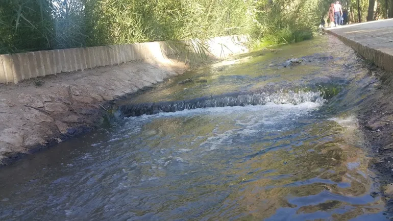 باغ گلشن طبس؛ معجزه سبز کویرهای طبس 42 نگهداری و آبیاری باغ گلشن طبس