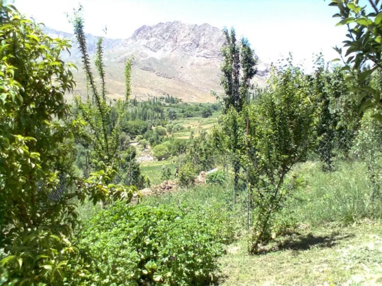 حُتکَن و سرباغ حتکن