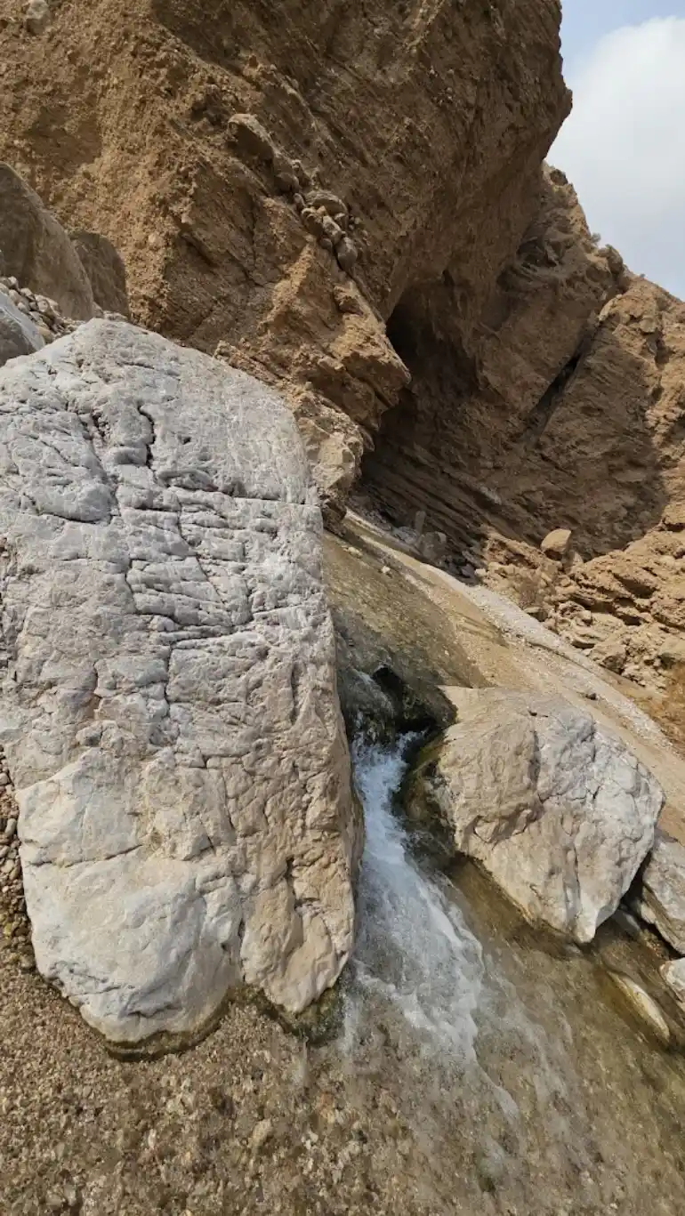 باغ گلشن طبس؛ معجزه سبز کویرهای طبس 51 چشمه مرتضی علی