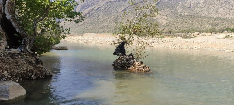 تیره‌ باغ مرودشت