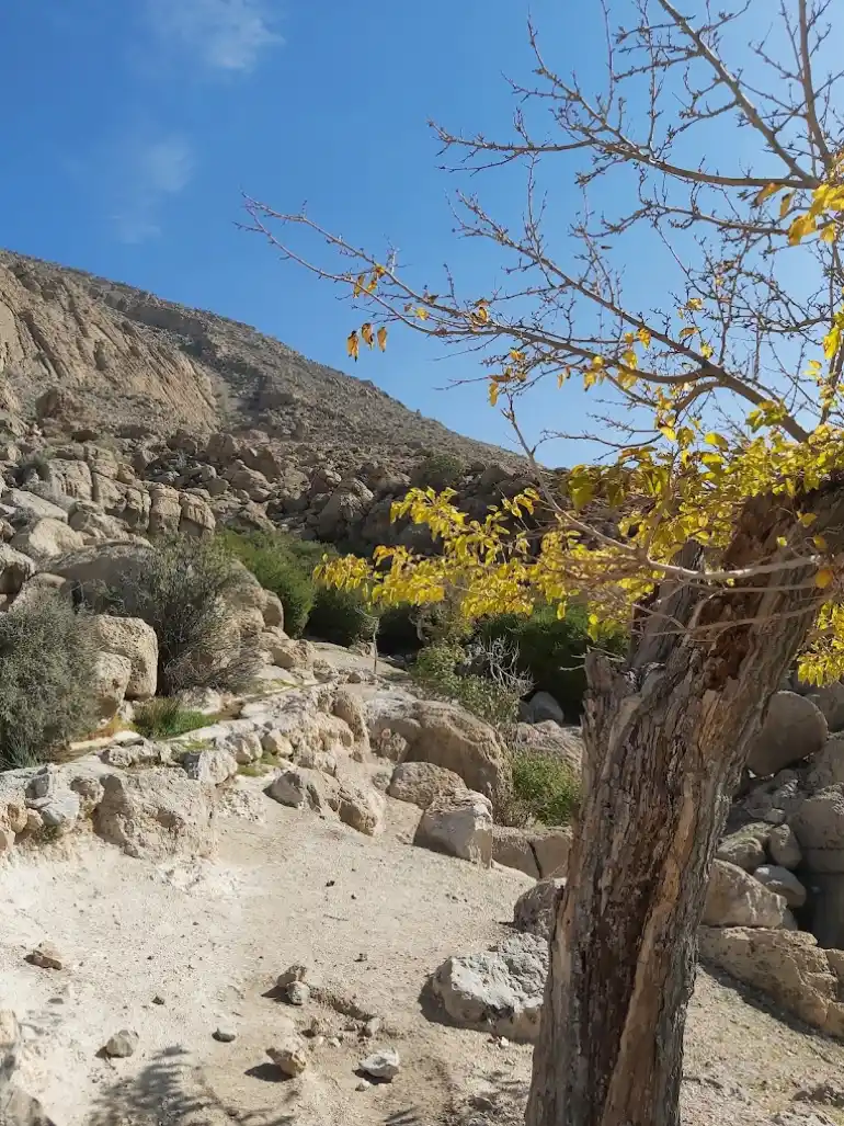 راهنمای سفر به مرودشت؛ میراثدار تاریخ باشکوه ایران 46 قصر قلات مرودشت