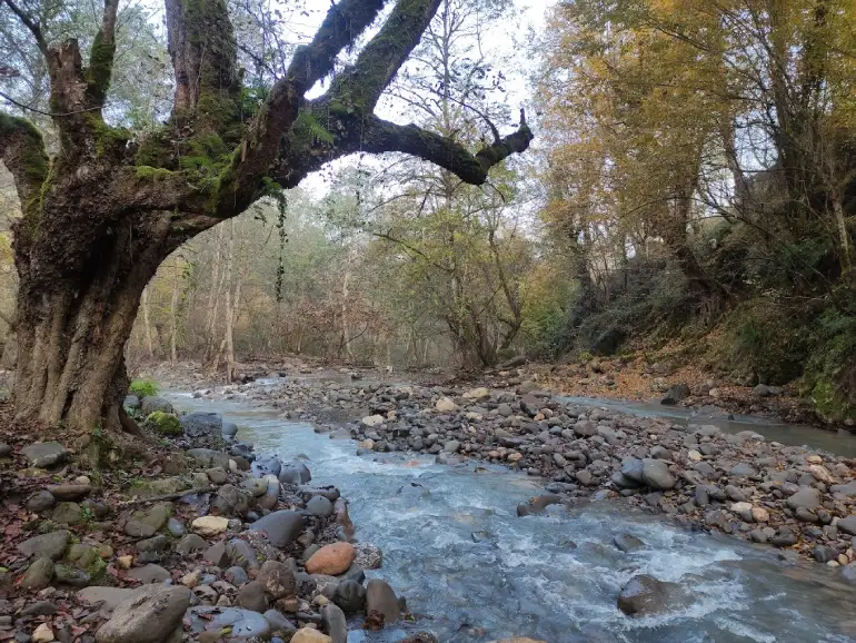 آبشار اسکلیم مازندران؛ جایی که هیچ طبیعتگردی آن را از دست نمیدهد 9 بهترین زمان بازدید از آبشار اسکلیم