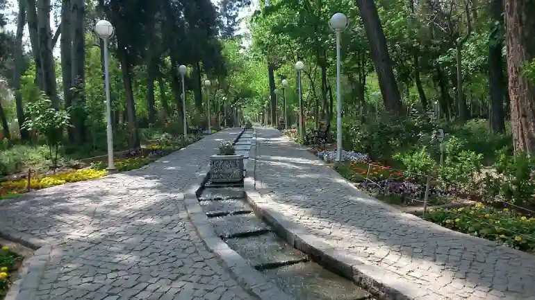 باغ وحش مشهد؛ سفری به دنیای حیوانات در باغ وحش وکیل آباد 4 باغ وحش مشهد