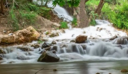 بهشت گمشده شیراز