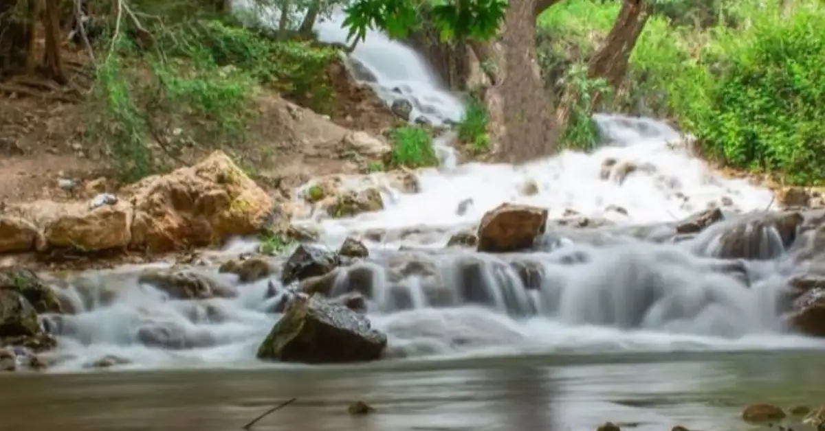بهشت گمشده شیراز