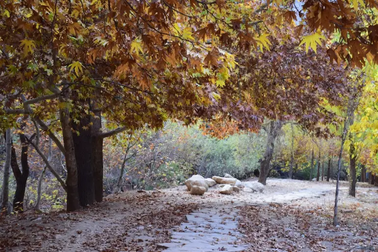 بهشت گمشده شیراز؛ طبیعتی محصور در دل کوهستان 19 بهشت گمشده شیراز در پاییز و زمستان