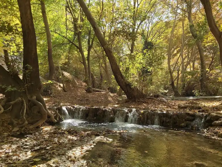 بهشت گمشده شیراز؛ طبیعتی محصور در دل کوهستان 10 تنگ بستانک
