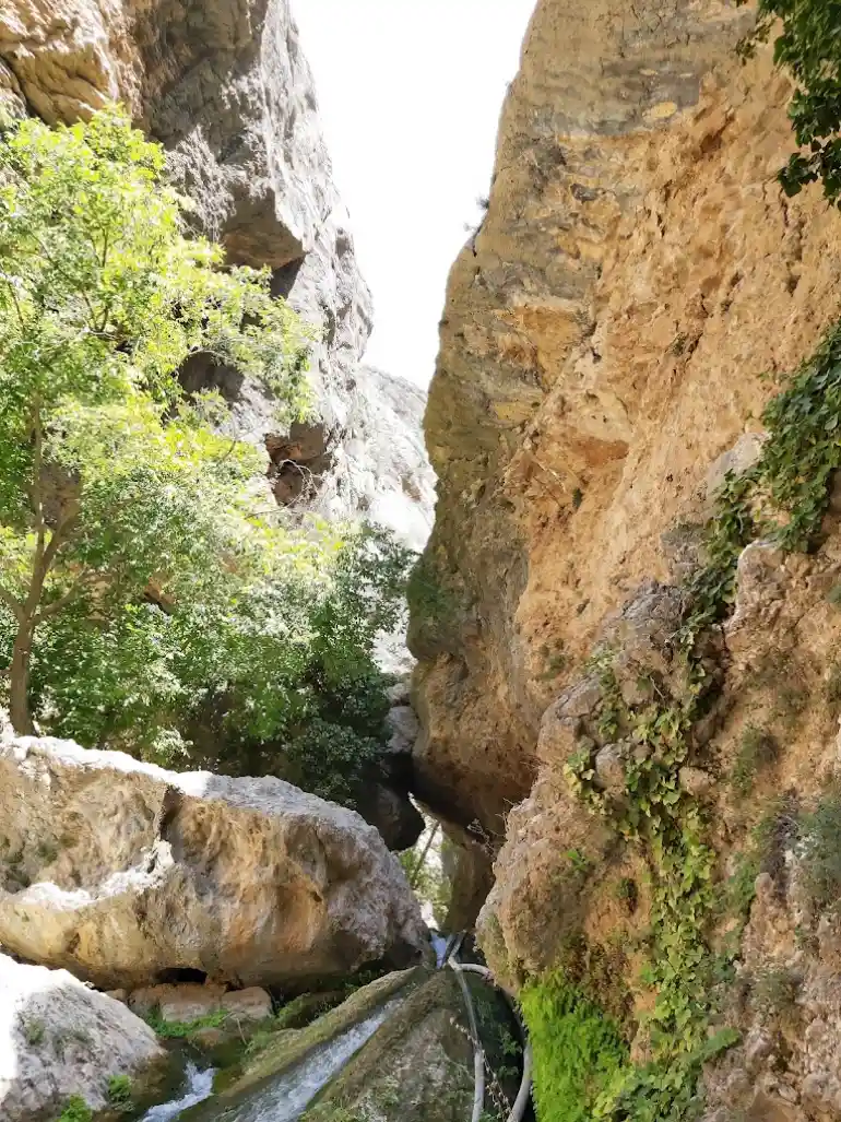 بهشت گمشده شیراز؛ طبیعتی محصور در دل کوهستان 14 بهترین زمان بازدید از بهشت گمشده شیراز