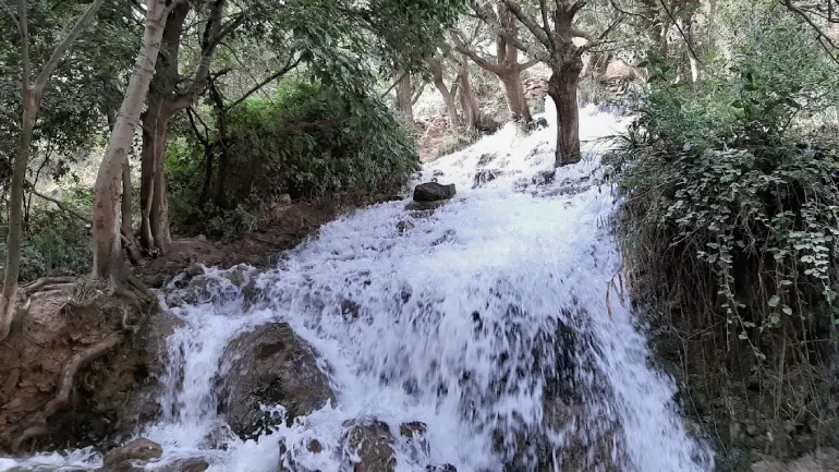 بهشت گمشده شیراز؛ طبیعتی محصور در دل کوهستان 26 تنگ بستانک مرودشت