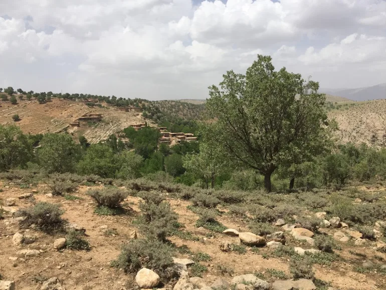 بهشت گمشده شیراز؛ طبیعتی محصور در دل کوهستان 22 پوشش گیاهی و جانوری بهشت گمشده شیراز