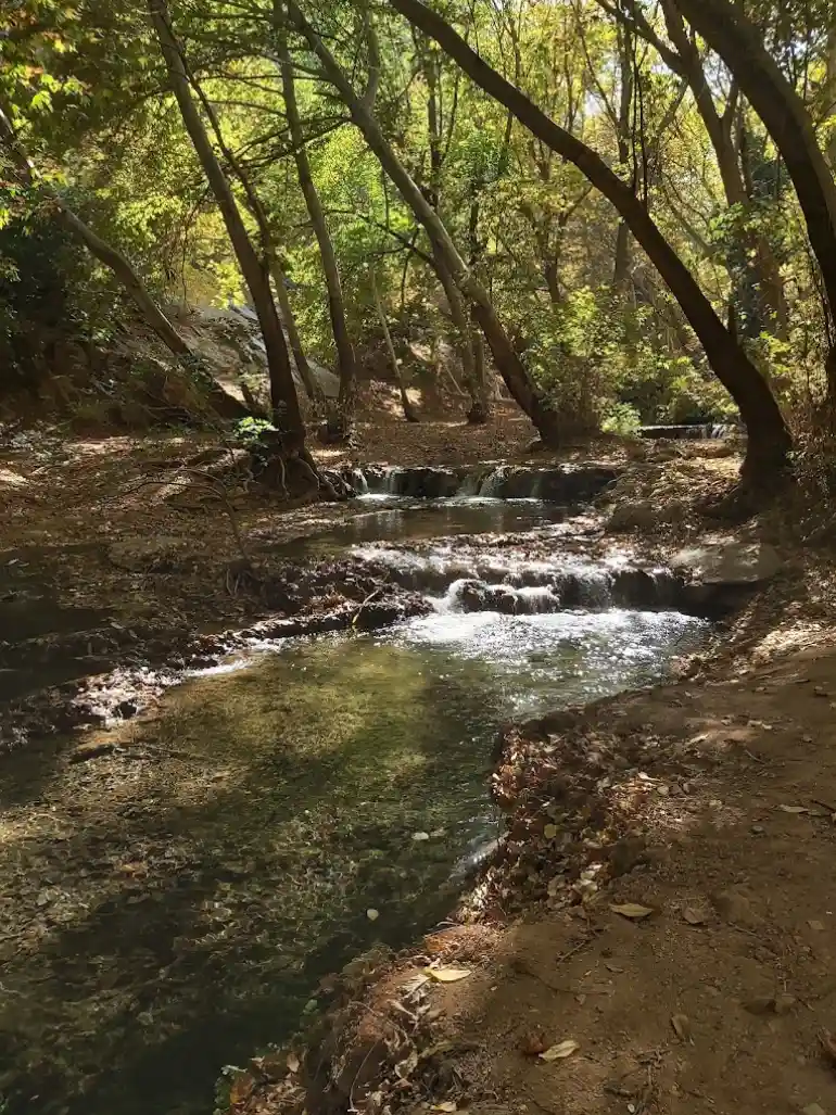بهشت گمشده شیراز؛ طبیعتی محصور در دل کوهستان 25 امکانات رفاهی و تفریحات بهشت گمشده شیراز