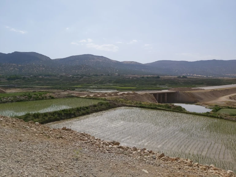 بهشت گمشده شیراز؛ طبیعتی محصور در دل کوهستان 21 پوشش گیاهی و جانوری بهشت گمشده شیراز