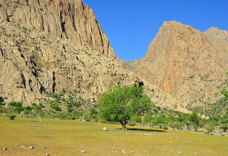 راهنمای سفر به مرودشت؛ میراثدار تاریخ باشکوه ایران 36 راهنمای سفر به مرودشت
