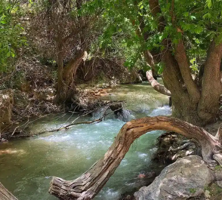 بهشت گمشده شیراز؛ طبیعتی محصور در دل کوهستان 45 تنگ گمبیل