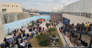 جمعه بازار پروانه