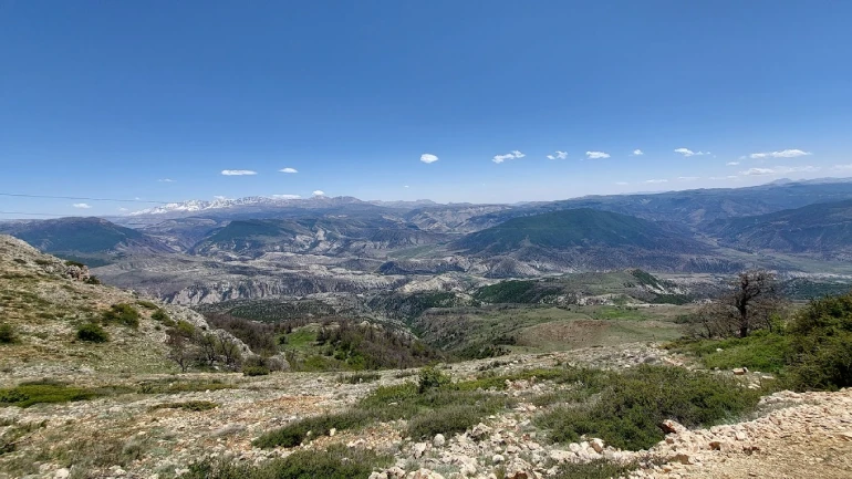 روستای درازنو گلستان؛ بهشتی بر فراز ابرها 41 پوشش گیاهی و جانوری روستای درازنو
