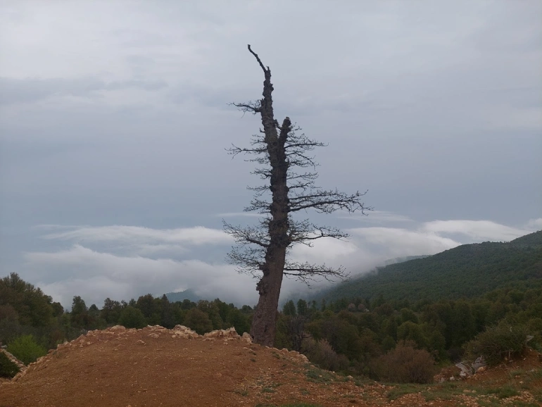 روستای درازنو گلستان؛ بهشتی بر فراز ابرها 42 روستای درازنو گلستان