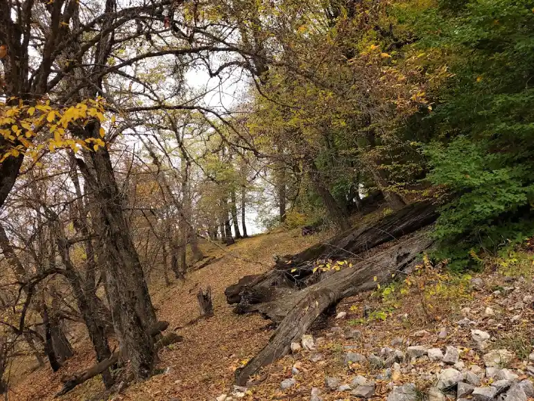 روستای درازنو گلستان؛ بهشتی بر فراز ابرها 14 بهترین زمان بازدید از روستای درازنو