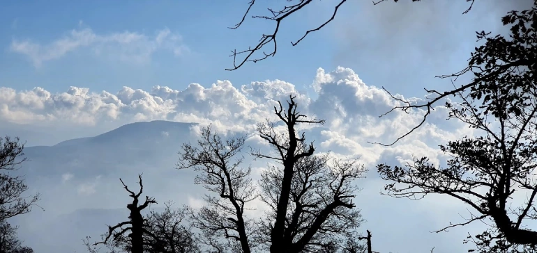 روستای درازنو گلستان؛ بهشتی بر فراز ابرها 15 ییلاق درازنو