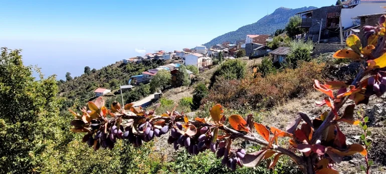 روستای درازنو گلستان؛ بهشتی بر فراز ابرها 50 روستای درازنو