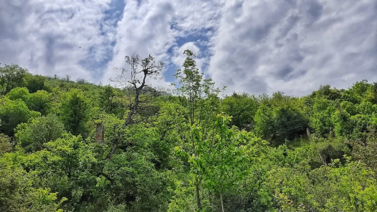 روستای درازنو گلستان؛ بهشتی بر فراز ابرها 13 روستای درازنو گلستان