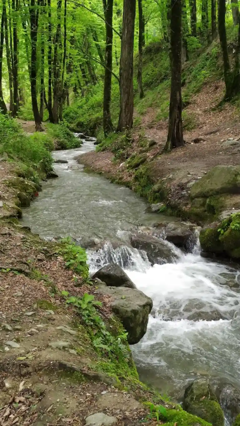 روستای درازنو گلستان؛ بهشتی بر فراز ابرها 24 پارک جنگلی امام رضا (ع)