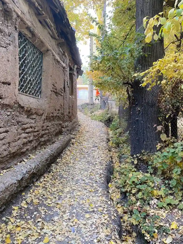 پیست اسکی آبعلی تهران؛ سفری سفید به قلب آرامش و هیجان 42 جاهای دیدنی نزدیک به پیست اسکی آبعلی