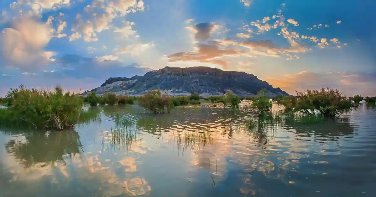 کوه خواجه