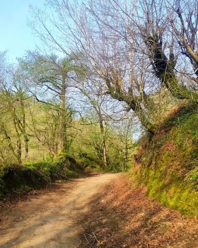 آبشار لوشکی گیلان
