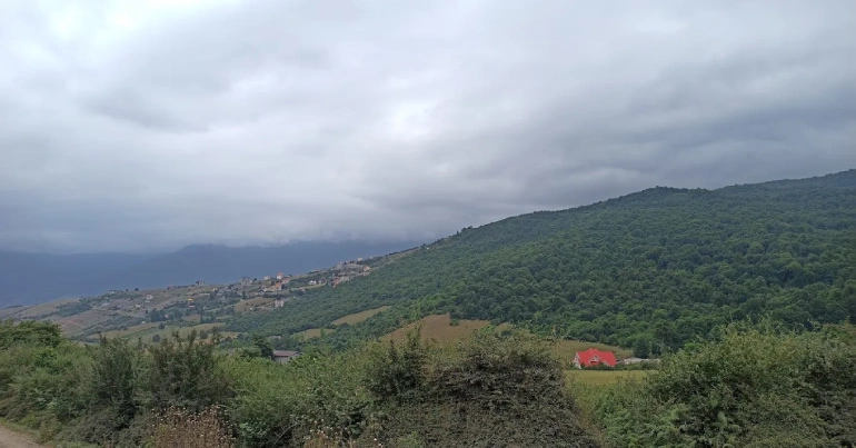جنگل عباس آباد مازندران؛ رویایی از جنس طبیعت 22 جنگل عباس آباد