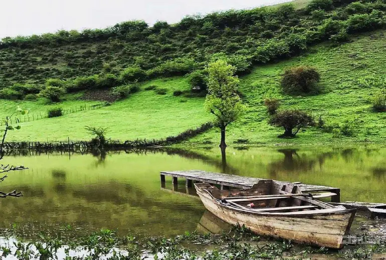 جنگل کوتنا