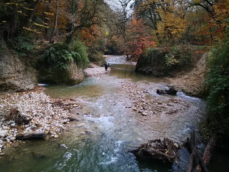 رودخانه پلنگ دره
