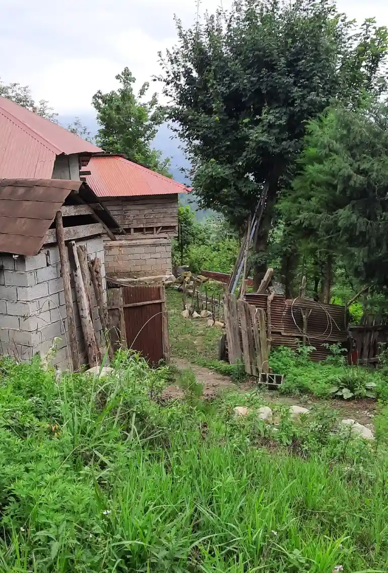 راهنمای سفر به شیرگاه؛ سبزترین شهر تاریخی در مازندران 34 روستای بورخانی