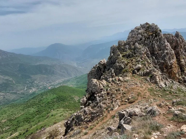 جنگل اوریم