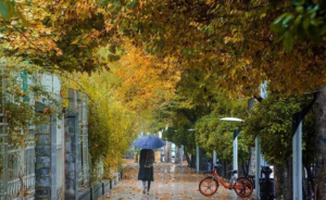 مکان های لاکچری شیراز